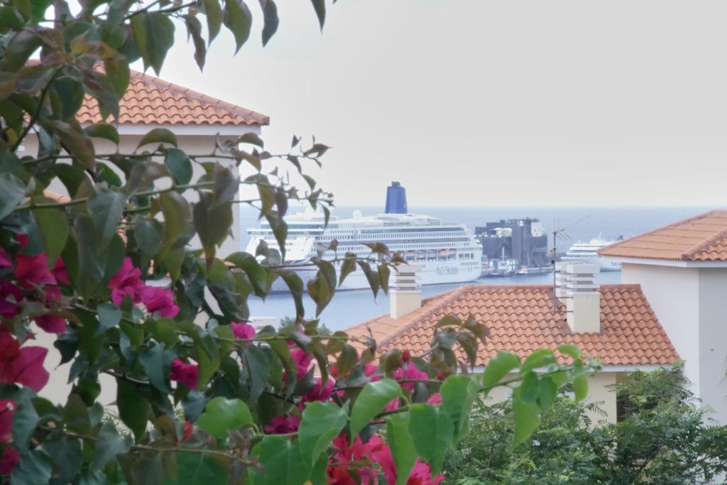 Carvalhal Old Town Apartment Funchal  Exterior photo